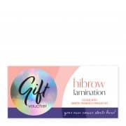 Hi Brow Gift Voucher: Hi Brow Lamination Course with Remote Training & Product Kit