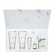 Little Butterfly London Journey of Discovery The Luxury Essential Skincare Collection