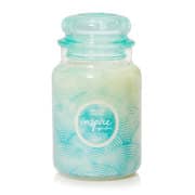 Yankee Candle Scent of the Year 2022 Large Jar 623g