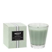 NEST New York Wild Mint & Eucalyptus Classic Candle 230g