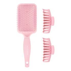 BRUSHWORKS Paddle Brush and Claw Clips  Set