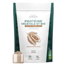 NUTRI&CO La Protéine Vegan et Bio Énergie & Alternative à la Whey 500g