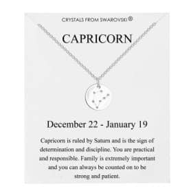 Philip Jones Jewellery Capricorn Star Sign Disc Necklace Created with Zircondia® Crystals