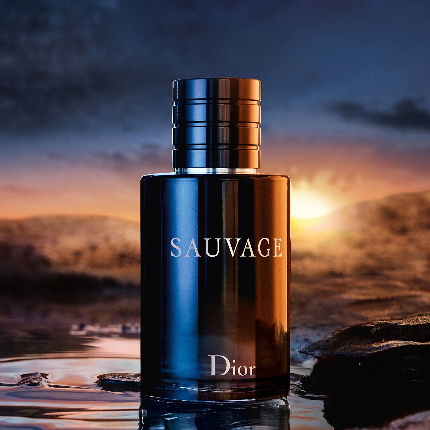 DIOR Sauvage Elixir 60ml | FEELUNIQUE
