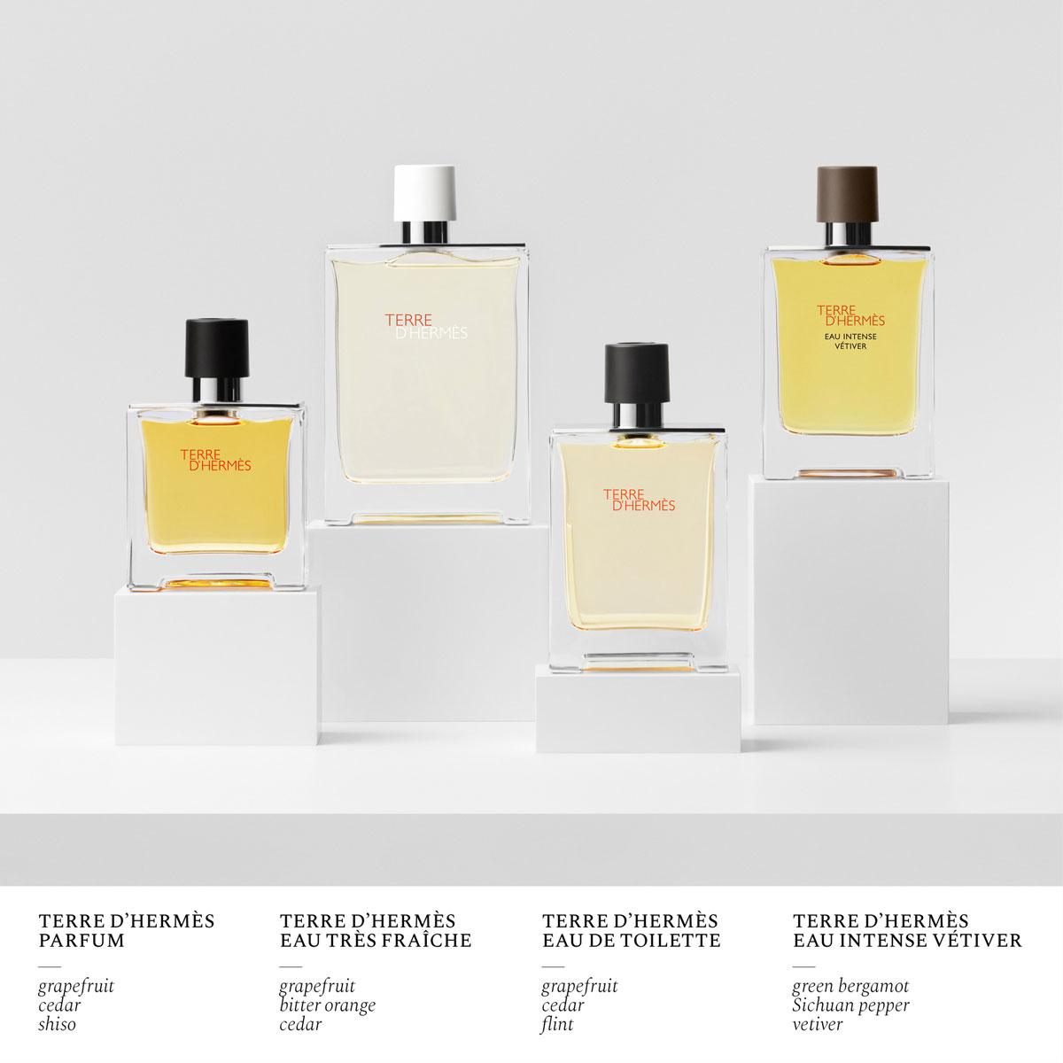 Hermès Terre d'Hermès Pure Perfume 75ml | FEELUNIQUE