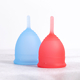 Saalt Cup Duo Pack Small and Regular