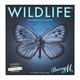 Barry M Wildlife Eyeshadow Palette Butterfly 12.6g