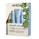 Aveda Smooth Infusion™ Discovery Set 