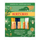 Burt's Bees® Bounty Assorted Mix Lip Balm Christmas Gift Set