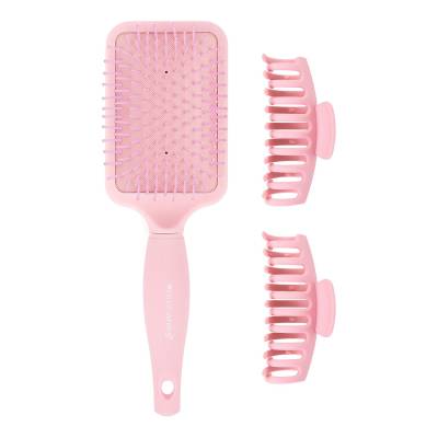 BRUSHWORKS Paddle Brush and Claw Clips  Set