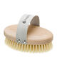 Hydréa London Professional Dry Skin Body Brush With Cactus Bristles - Hard Strength